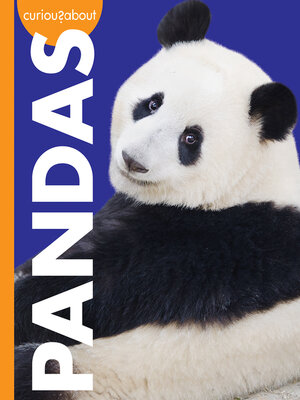 cover image of Curious about Pandas